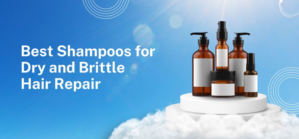 best shampoos for dry and brittle hair repair